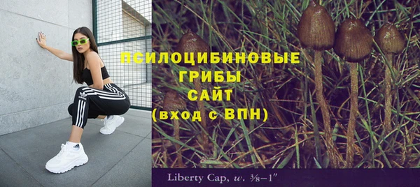 прущие крисы Алексин